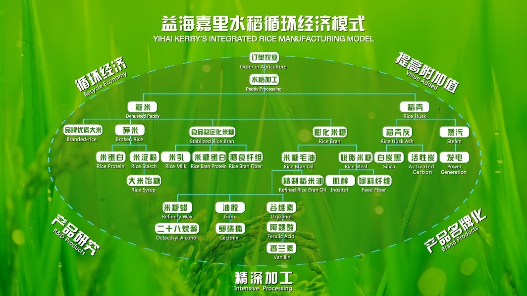 龙鱼守护国民餐桌 践行可持续发展PG电子麻将胡了模拟器益海嘉里金(图1)