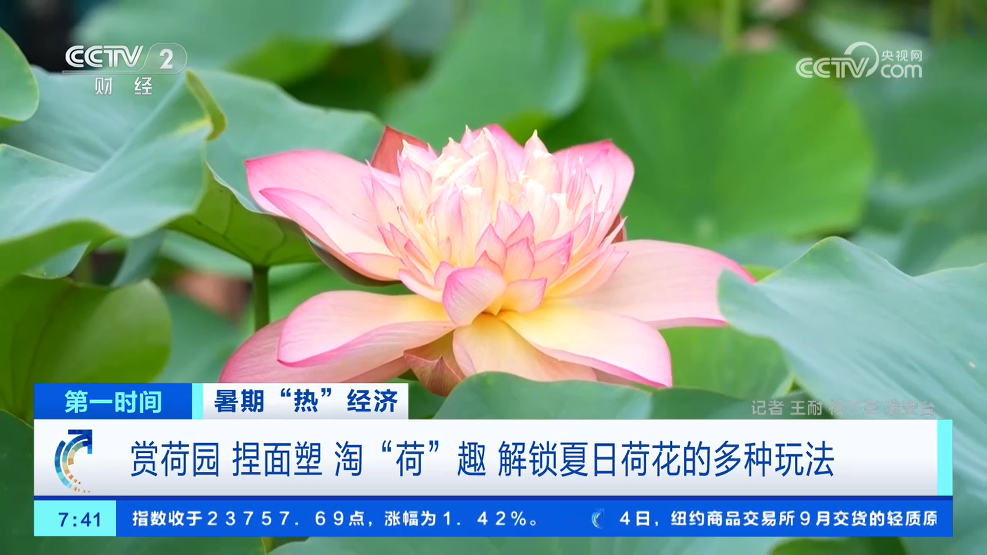 马射箭、清凉游……夏日文旅活动丰富多彩各有特色PG麻将胡了网站入口游电影小镇、赏荷品荷、赛(图7)